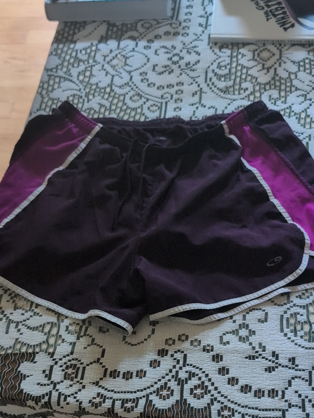 Champion Purple and Magenta Athletic Shorts